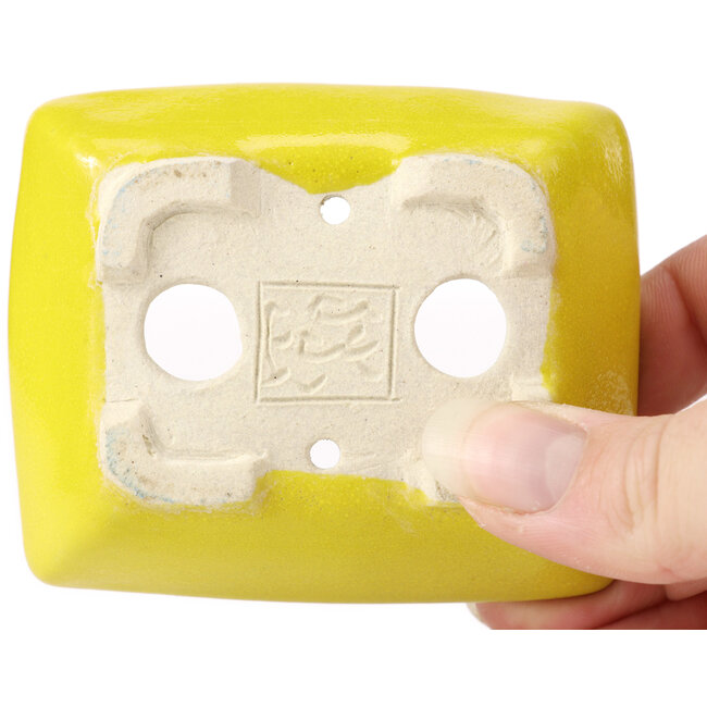 Rectangular yellow bonsai pot by Seto - 85 x 70 x 25 mm