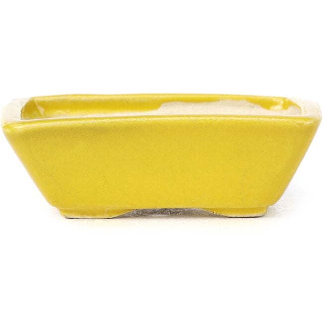 Rectangular yellow bonsai pot by Seto - 75 x 65 x 25 mm