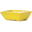 Pot à bonsaï rectangulaire jaune par Seto - 75 x 65 x 25 mm