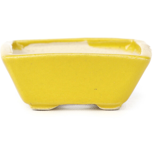 Maceta de bonsái amarilla rectangular de Seto - 75 x 65 x 25 mm