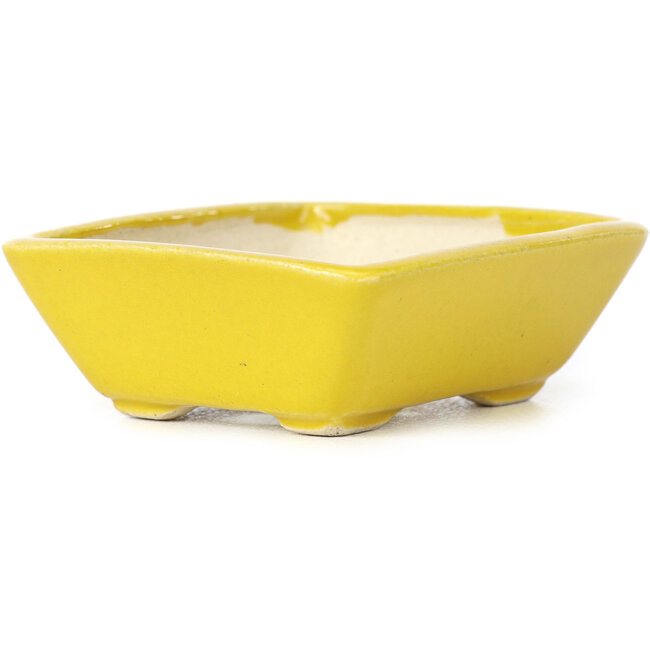 Maceta de bonsái amarilla rectangular de Seto - 75 x 65 x 25 mm