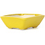 Pot à bonsaï rectangulaire jaune par Seto - 75 x 65 x 25 mm