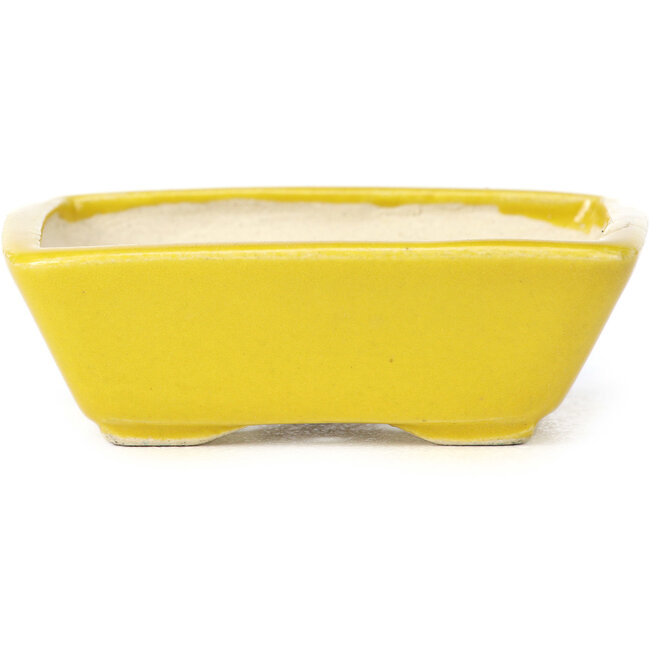 Pot à bonsaï rectangulaire jaune par Seto - 75 x 65 x 25 mm
