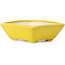 Maceta de bonsái amarilla rectangular de Seto - 75 x 65 x 25 mm