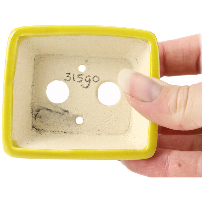 Rechteckige gelbe Bonsaischale von Seto - 75 x 65 x 25 mm