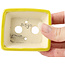 Pot à bonsaï rectangulaire jaune par Seto - 75 x 65 x 25 mm