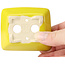 Maceta de bonsái amarilla rectangular de Seto - 75 x 65 x 25 mm