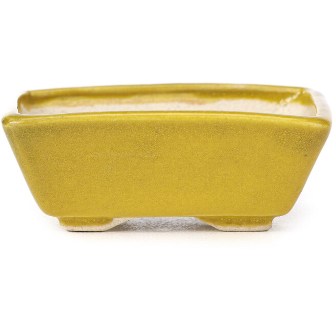 Pot à bonsaï rectangulaire jaune par Seto - 80 x 65 x 30 mm