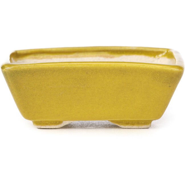 Rectangular yellow bonsai pot by Seto - 80 x 65 x 30 mm