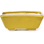 Pot à bonsaï rectangulaire jaune par Seto - 80 x 65 x 30 mm
