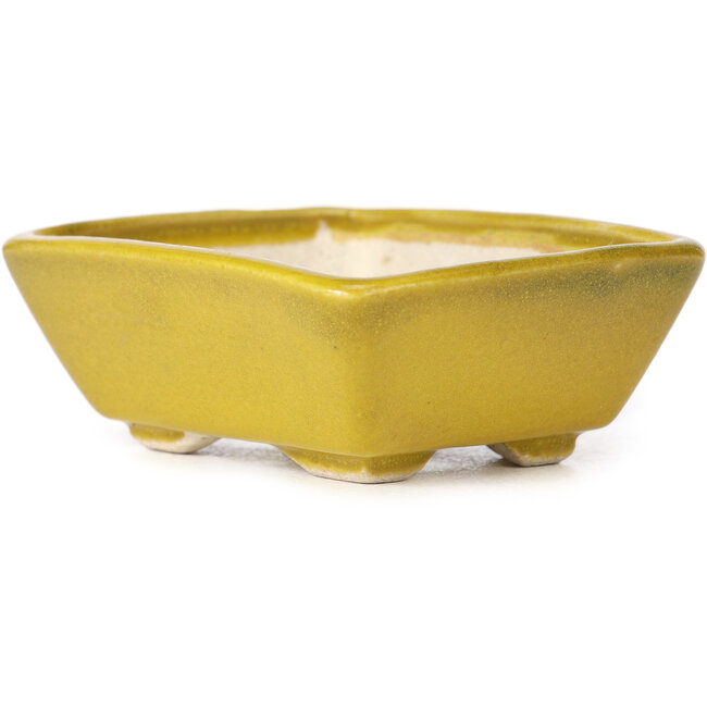 Rechteckige gelbe Bonsaischale von Seto - 80 x 65 x 30 mm