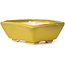 Pot à bonsaï rectangulaire jaune par Seto - 80 x 65 x 30 mm