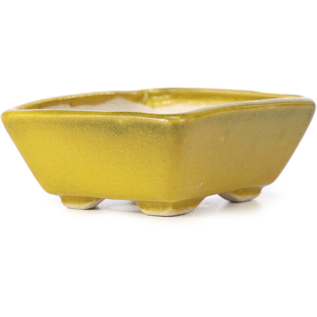 Vaso bonsai giallo rettangolare di Seto - 80 x 65 x 30 mm