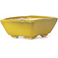 Pot à bonsaï rectangulaire jaune par Seto - 80 x 65 x 30 mm