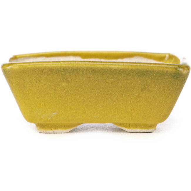 Maceta de bonsái amarilla rectangular de Seto - 80 x 65 x 30 mm