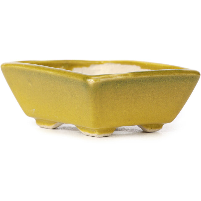 Rechteckige gelbe Bonsaischale von Seto - 80 x 65 x 30 mm