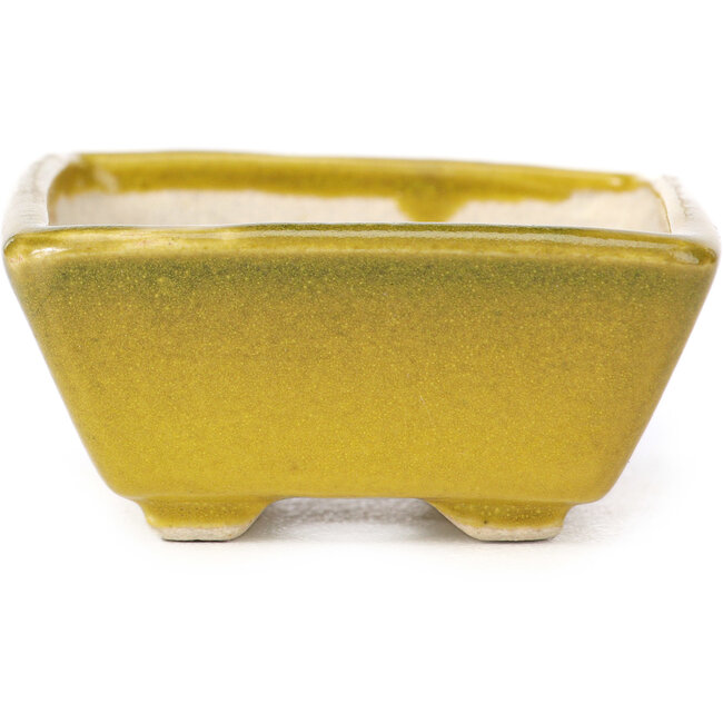 Vaso bonsai giallo rettangolare di Seto - 80 x 65 x 30 mm