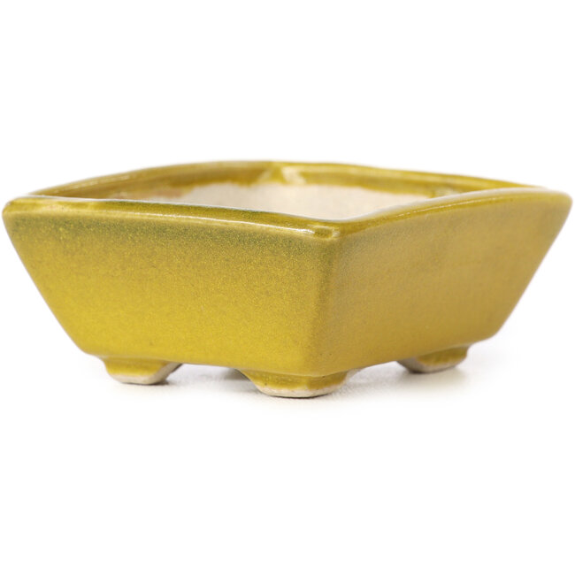 Rechteckige gelbe Bonsaischale von Seto - 80 x 65 x 30 mm