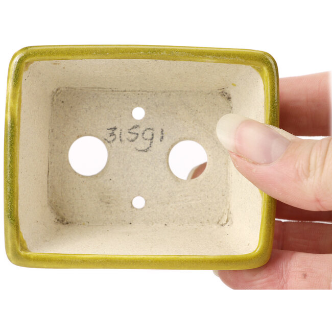 Vaso bonsai giallo rettangolare di Seto - 80 x 65 x 30 mm