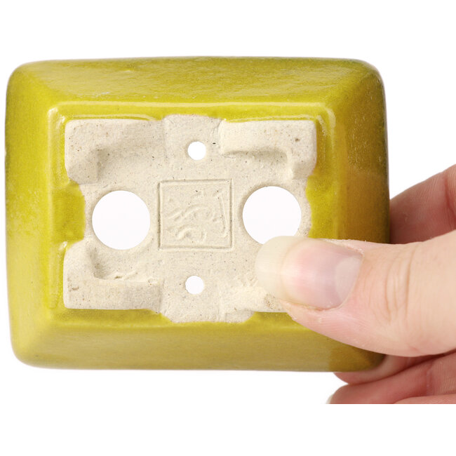 Vaso bonsai giallo rettangolare di Seto - 80 x 65 x 30 mm