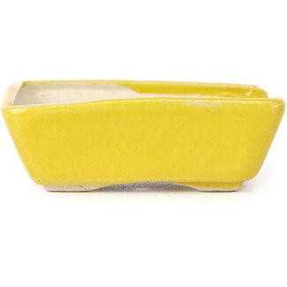 Seto 70 mm rectangular yellow bonsai pot by Seto, Japan