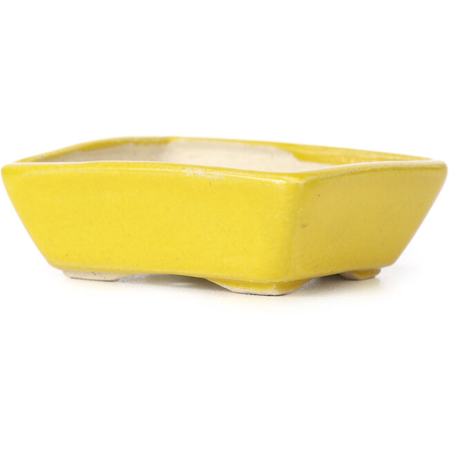 Vaso bonsai giallo rettangolare di Seto - 70 x 60 x 25 mm