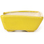 Vaso bonsai giallo rettangolare di Seto - 70 x 60 x 25 mm
