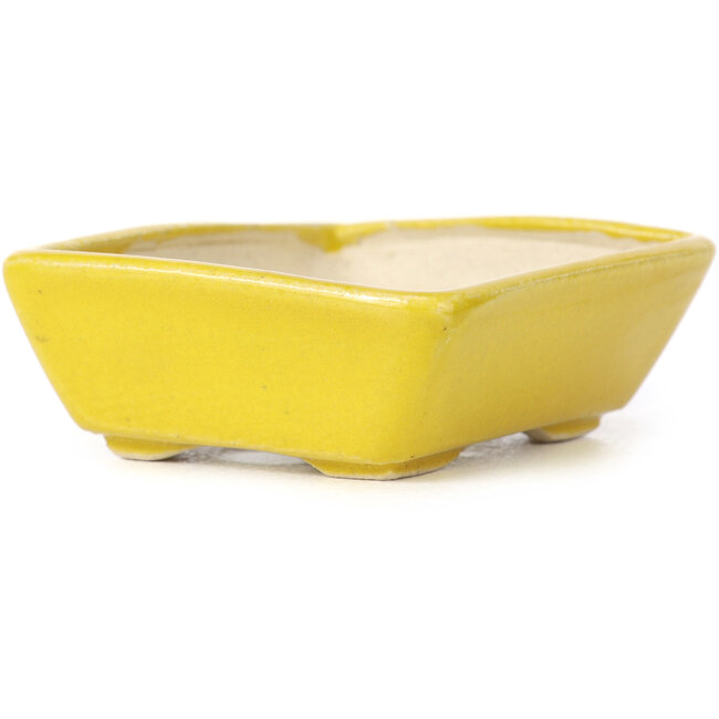 Rechteckige gelbe Bonsaischale von Seto - 70 x 60 x 25 mm