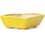 Pot à bonsaï rectangulaire jaune par Seto - 70 x 60 x 25 mm