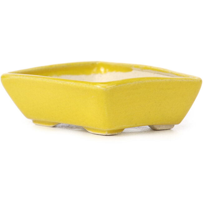 Vaso bonsai giallo rettangolare di Seto - 70 x 60 x 25 mm