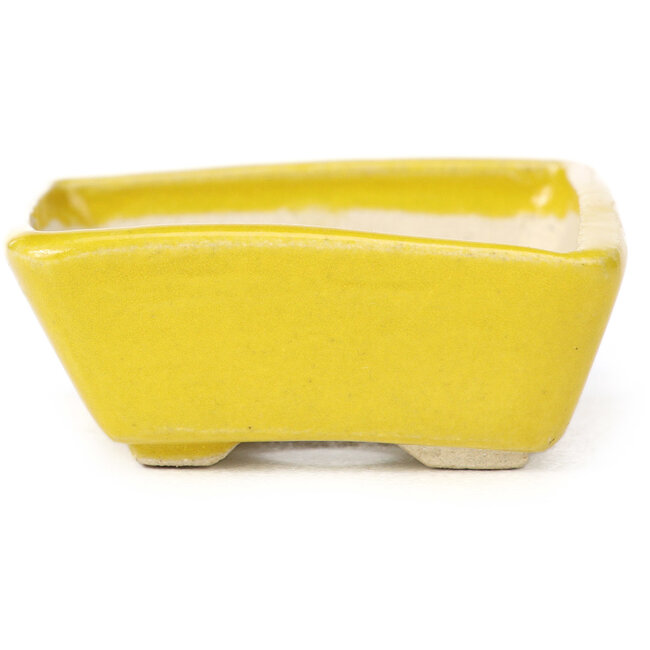 Vaso bonsai giallo rettangolare di Seto - 70 x 60 x 25 mm