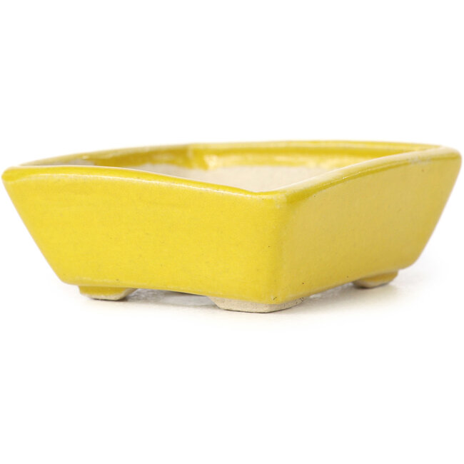 Vaso bonsai giallo rettangolare di Seto - 70 x 60 x 25 mm