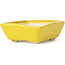 Pot à bonsaï rectangulaire jaune par Seto - 70 x 60 x 25 mm