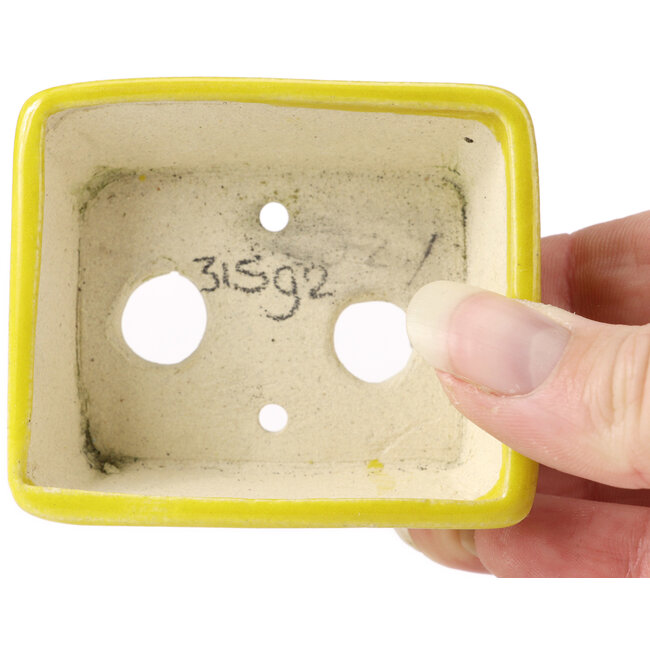 Vaso bonsai giallo rettangolare di Seto - 70 x 60 x 25 mm