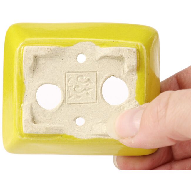 Rechteckige gelbe Bonsaischale von Seto - 70 x 60 x 25 mm