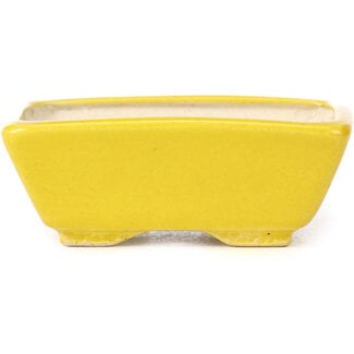 Seto 80 mm rectangular yellow bonsai pot by Seto, Japan