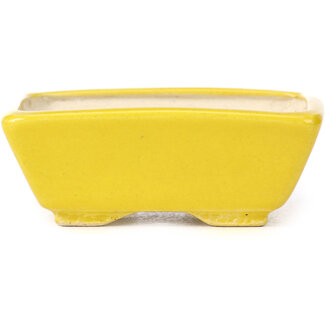 Seto Pot à bonsaï jaune rectangulaire 80 mm par Seto, Japon