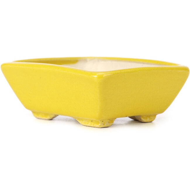 Rectangular yellow bonsai pot by Seto - 80 x 65 x 30 mm