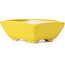 Rectangular yellow bonsai pot by Seto - 80 x 65 x 30 mm