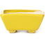 Vaso bonsai giallo rettangolare di Seto - 80 x 65 x 30 mm