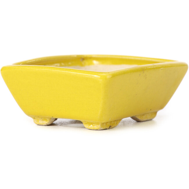 Rechthoekige gele bonsaipot van Seto - 80 x 65 x 30 mm