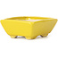 Rectangular yellow bonsai pot by Seto - 80 x 65 x 30 mm