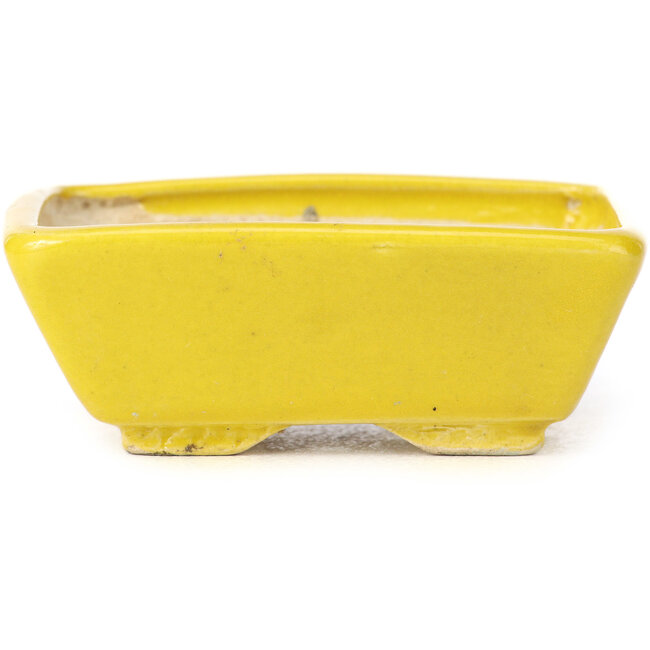 Vaso bonsai giallo rettangolare di Seto - 80 x 65 x 30 mm