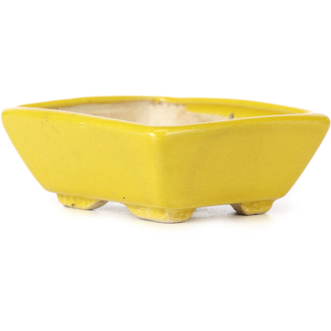 Vaso bonsai giallo rettangolare di Seto - 80 x 65 x 30 mm