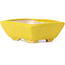Pot à bonsaï rectangulaire jaune par Seto - 80 x 65 x 30 mm
