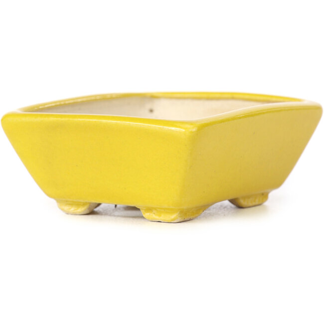 Maceta de bonsái amarilla rectangular de Seto - 80 x 65 x 30 mm