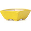 Rectangular yellow bonsai pot by Seto - 80 x 65 x 30 mm