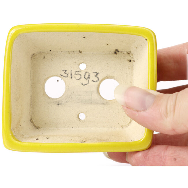 Vaso bonsai giallo rettangolare di Seto - 80 x 65 x 30 mm