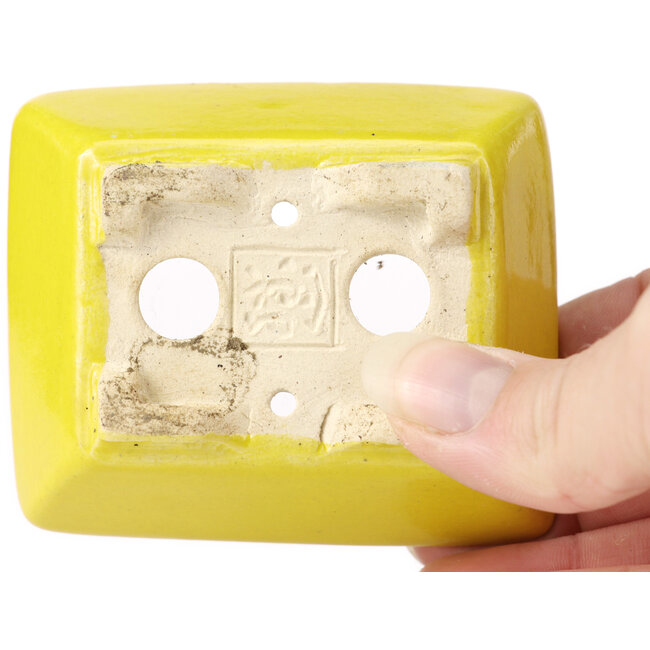 Maceta de bonsái amarilla rectangular de Seto - 80 x 65 x 30 mm