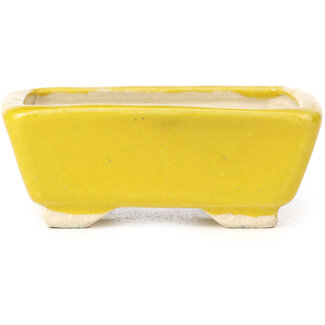 Seto 70 mm rectangular yellow bonsai pot by Seto, Japan